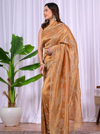 Elegant Rayna Net Fancy Saree with Swarovski Work