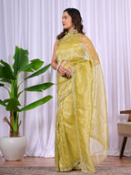 Designer Jiraff Fancy Saree with Kardana, Parle & Sequin Cutwork